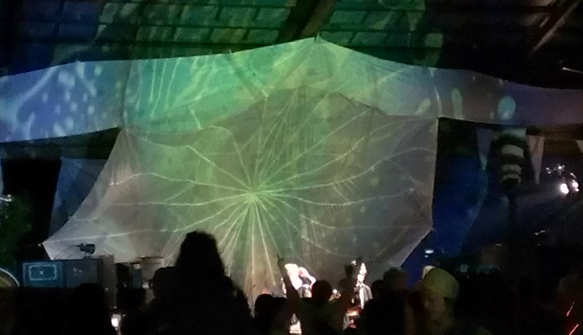 IMAG0177.jpg