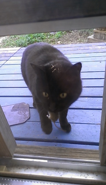 IMAG0779.jpg