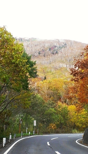 IMAG0460.jpg