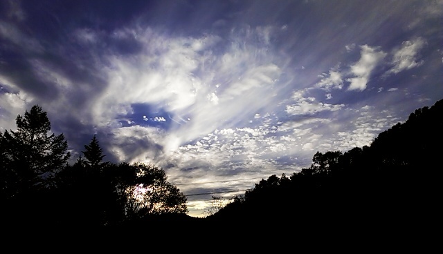 IMAG0474.jpg