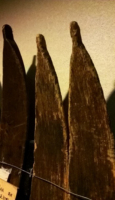 IMAG0478.jpg