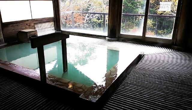 IMAG0485.jpg