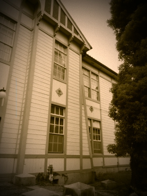 IMAG3904.jpg
