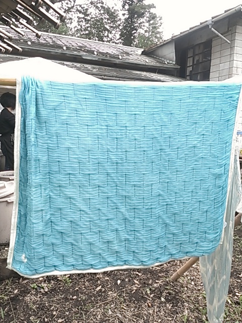 IMAG3938.jpg