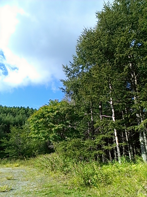 IMAG3971.jpg